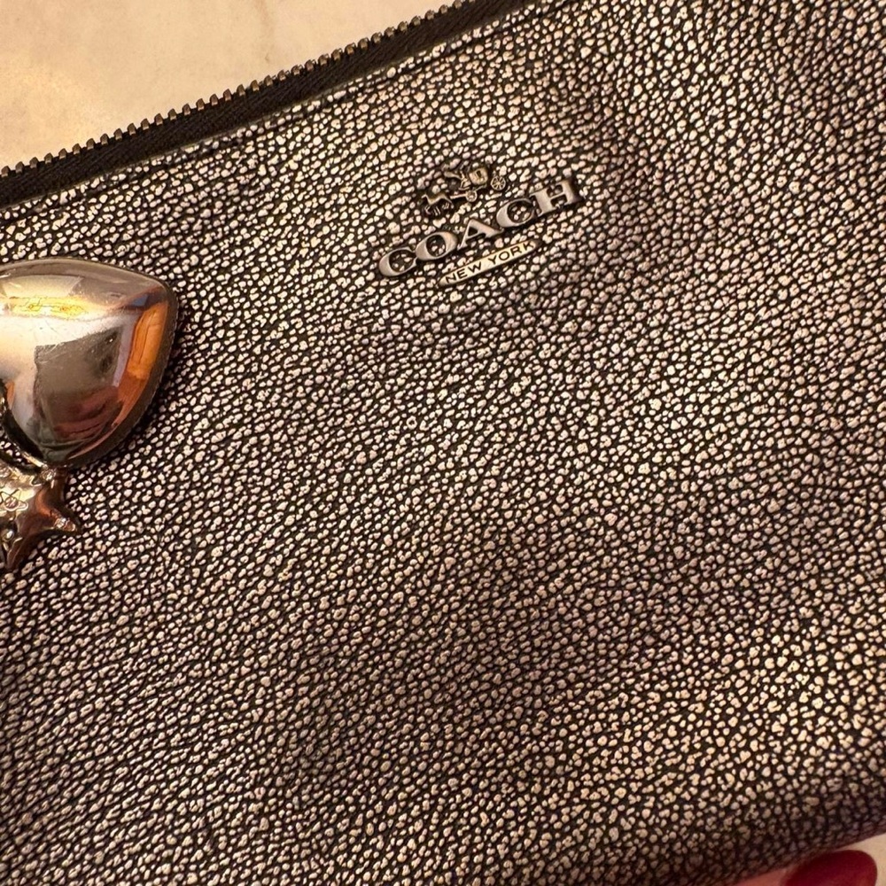 Coach Kylie Metallic Crossbody